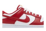 Nike Dunk Low ‚Gym Red‘ [also worn by BTS Suga] DD1391-602
