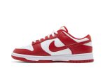 Nike Dunk Low ‚Gym Red‘ [also worn by BTS Suga] DD1391-602