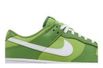 Nike Dunk Low Retro ‚Chlorophyll‘ DJ6188-300  Wabasta store