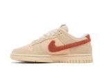 Nike Dunk Low ‚Terry Swoosh‘ DZ4706-200  Wabasta store