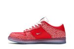 Nike SB Dunk Low x Stingwater ‚Magic Mushroom‘ DH7650-600 Wabasta store